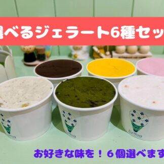 カップ選べる6種セット